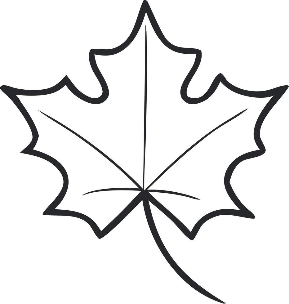 Simple, clean outline of a maple leaf isolated for kids to color vector