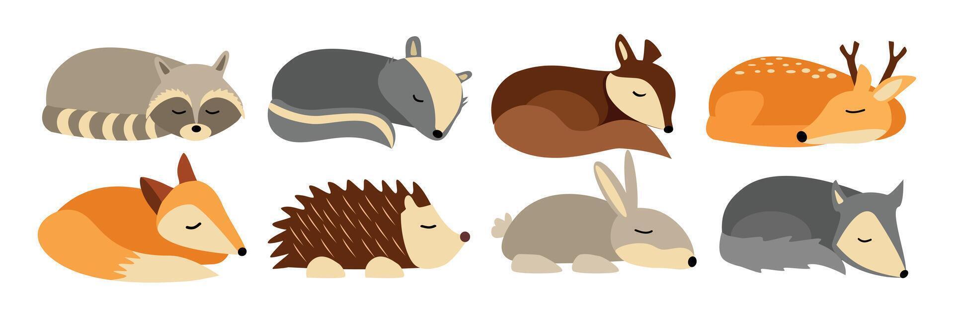 Set of cute animal sleeping. Collection of autumn sleeping animals. Colorful animal sleep illustration. Racoon. Deer. Fox. Rabbit. Squirrel. Hedgehog. Hibernate animal. vector