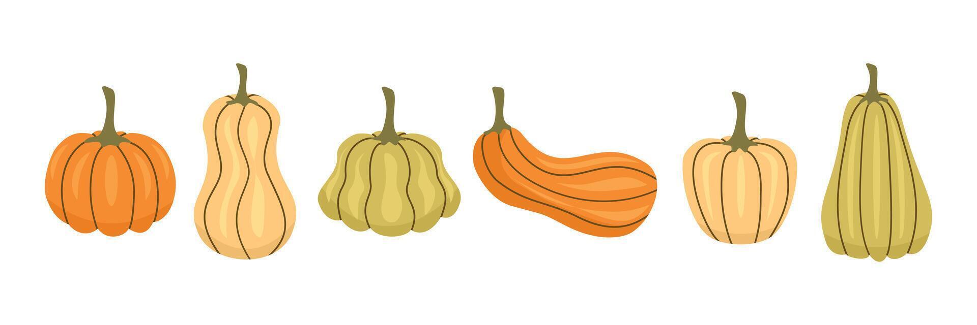 Set of pumpkin art. Fall pumpkin. Simple pumpkins. Halloween pumpkins. Autumn plant. Autumn vegetable. Autumn fruit. vector