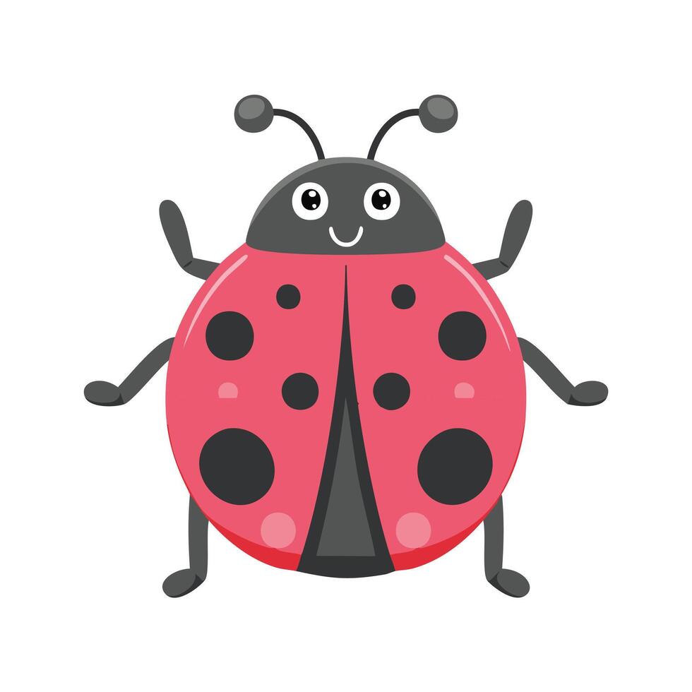 Ladybug Insect Bug Animal Animation Kawaii Character vector