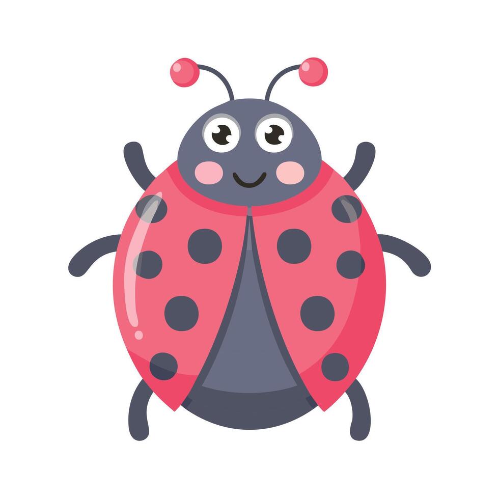 Ladybug Insect Bug Animal Animation vector