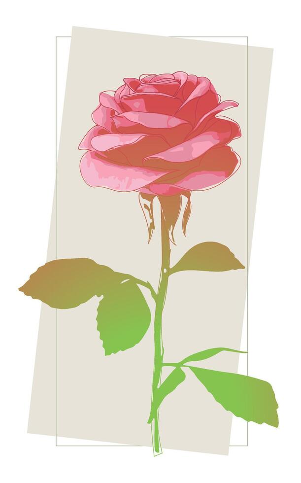 Stylized Pink Rose in a Rectangular Frame vector