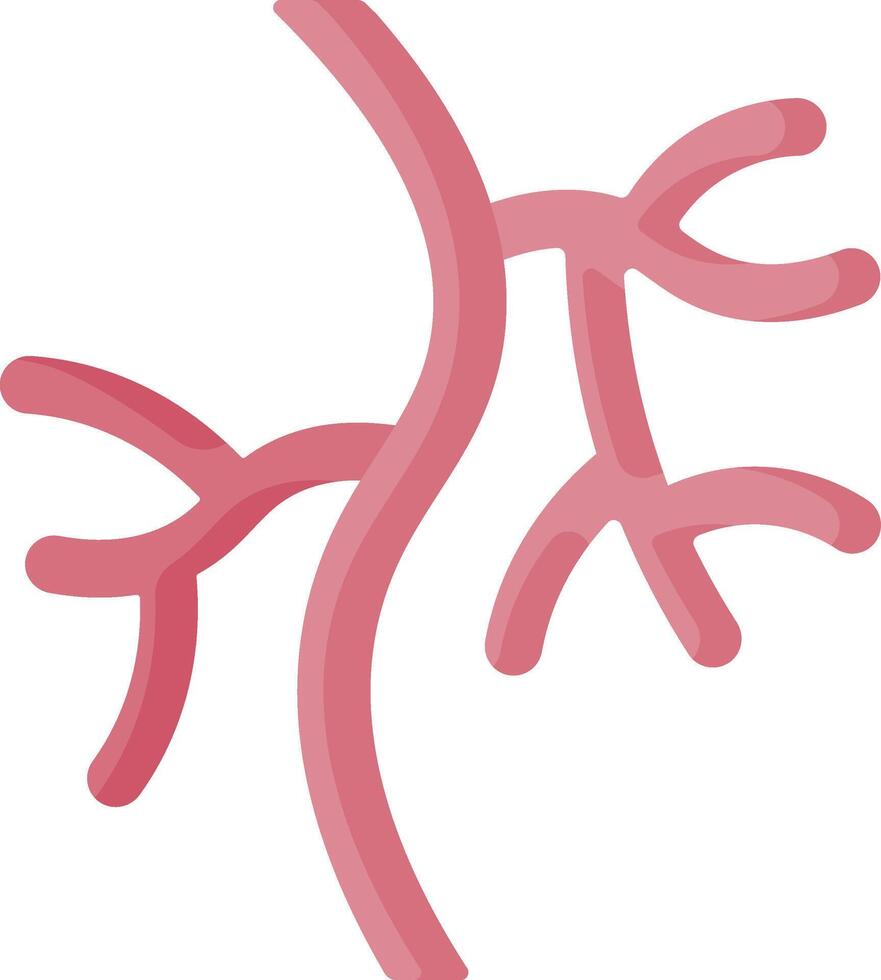 A red and pink illustration of a human vein vector