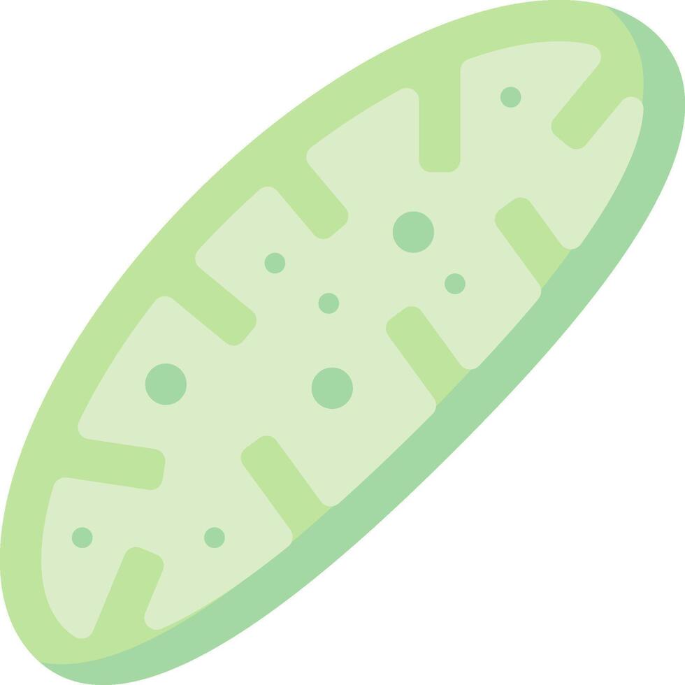 A green cucumber with dots on it vector