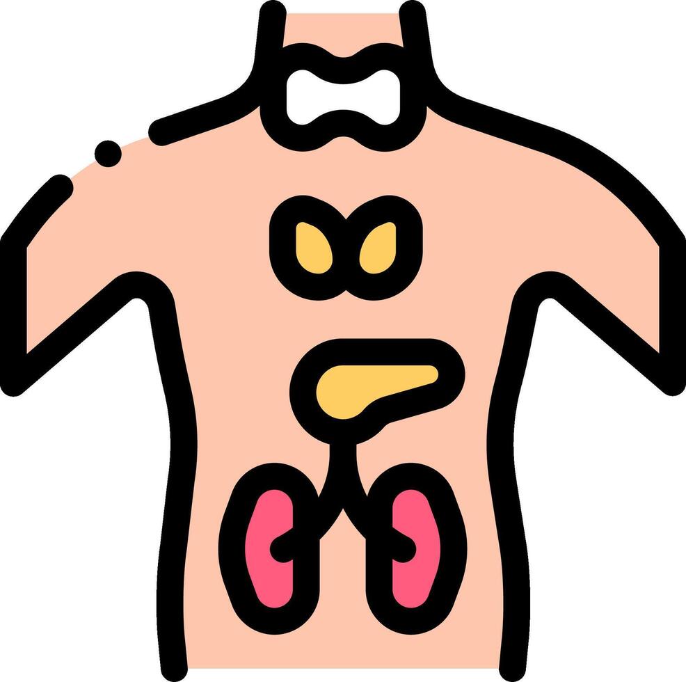 The human body with the kidneys and liver vector