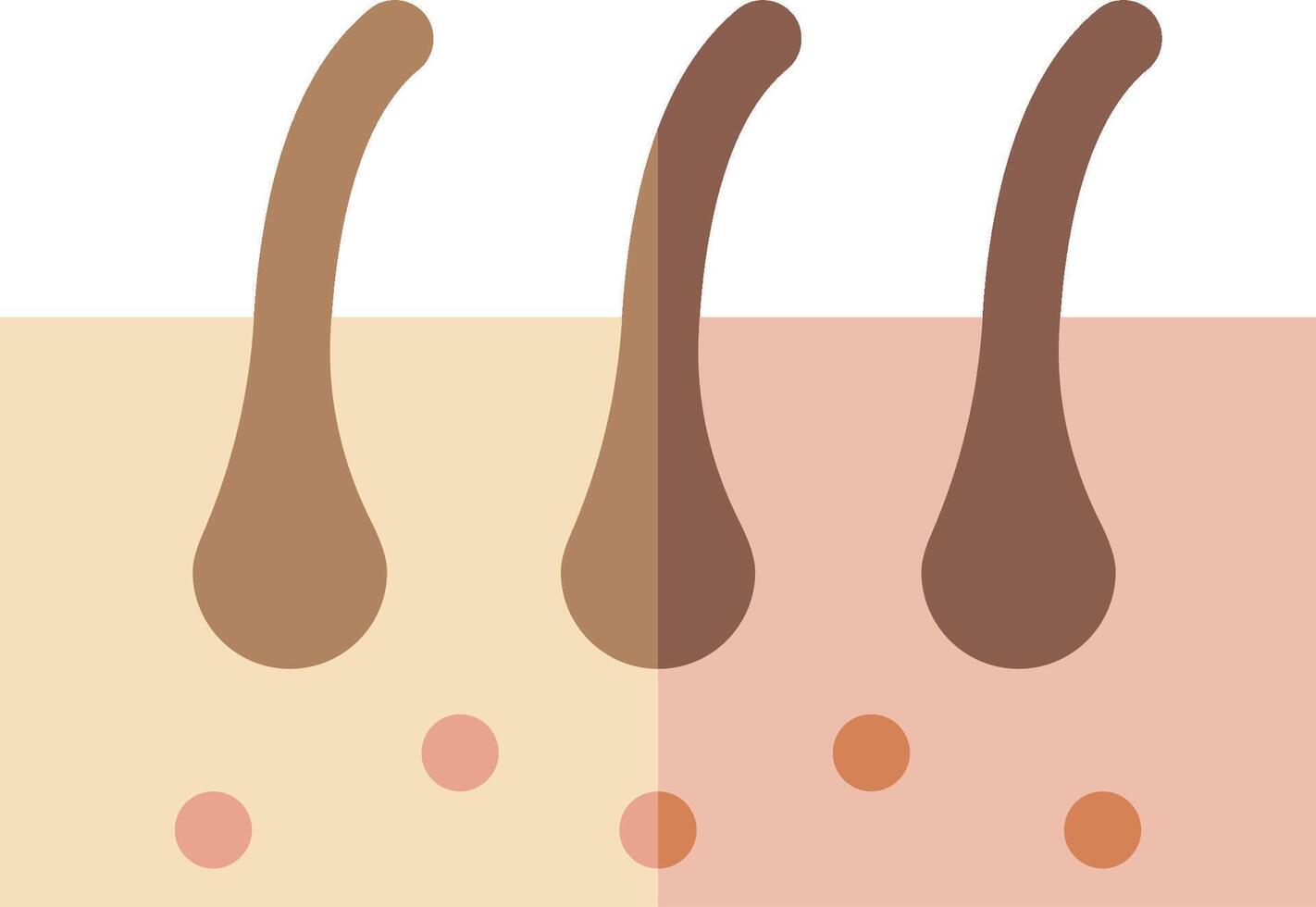 A skin care product is shown with two different types of hair vector