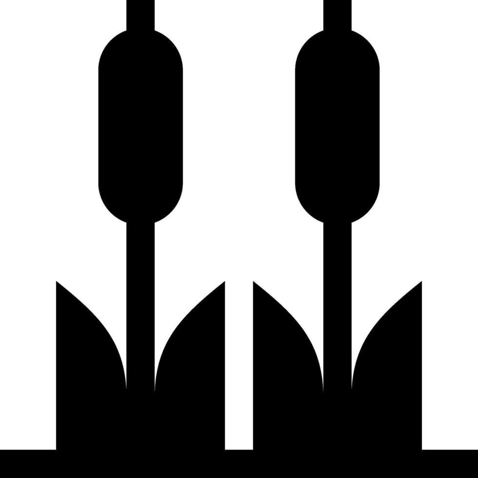 Two tulips in a row on a white background vector