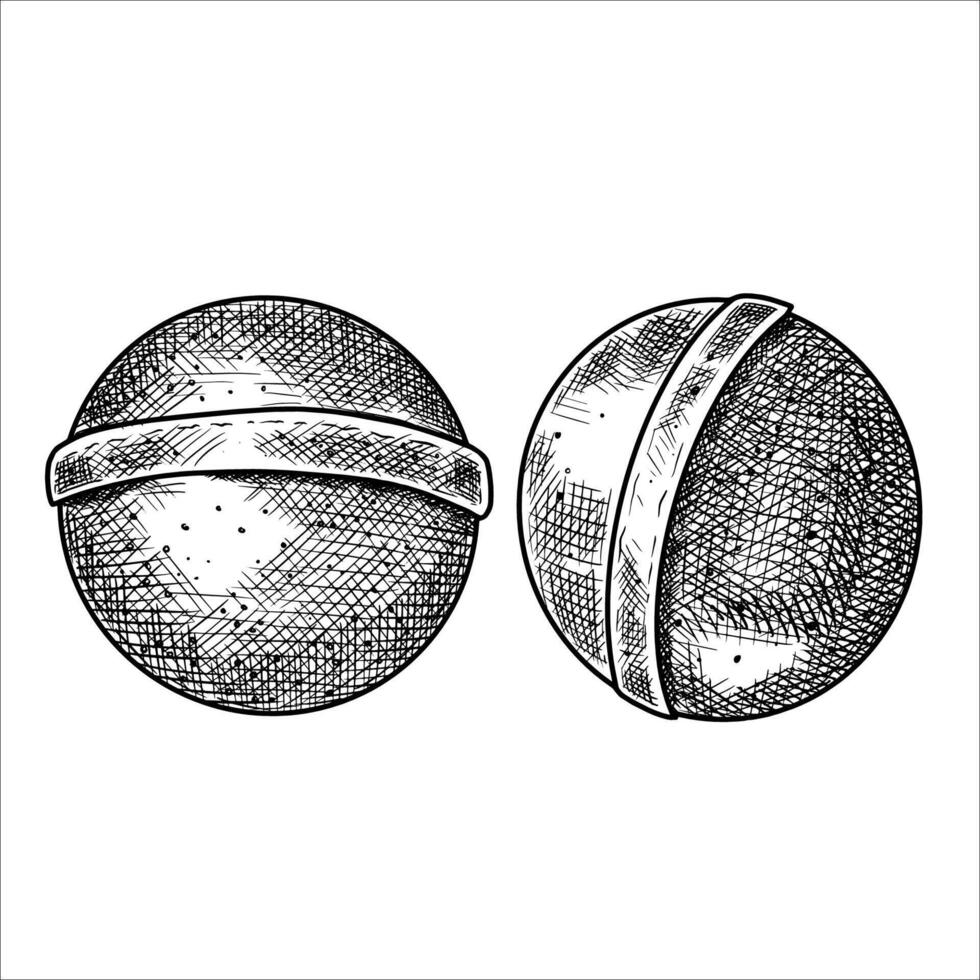 Hand drawn bath bombs. Spa collection. illustration vector