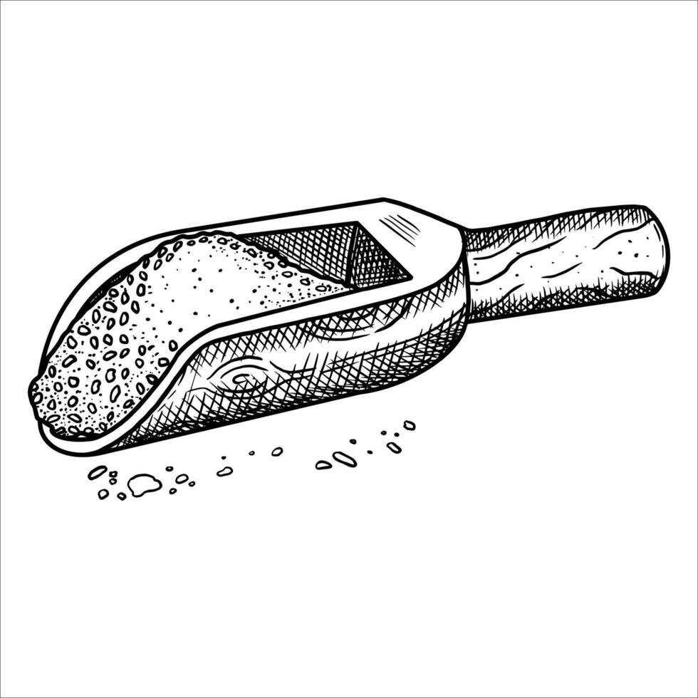 Wooden spoon with sea salt. Hand drawn illustration vector