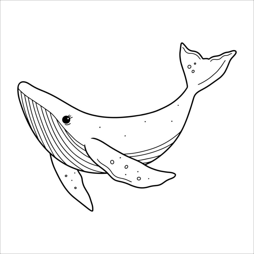Hand drawn cute whale. Underwater world. illustration vector