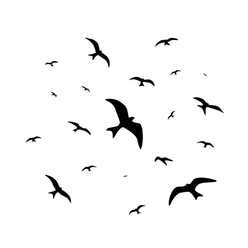 bird silhouette Red Kite free flying in the sky vector