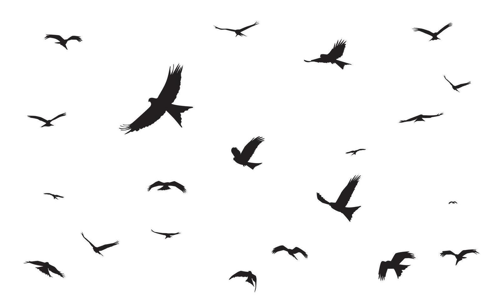 bird silhouette Red Kite free flying in the sky. eps 10 vector