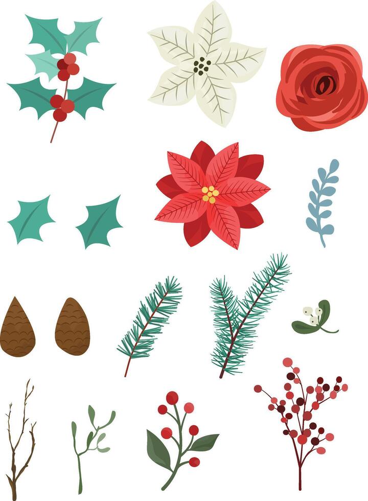 Merry Christmas floral design set. Red and white amaryllis, poinsettia, greenery, burgundy branches, holly, tree twigs. Isolated on white background vector
