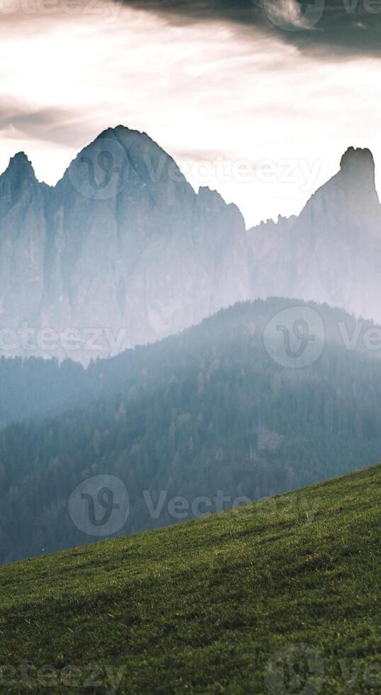 A man standing on a hill with a horse photo