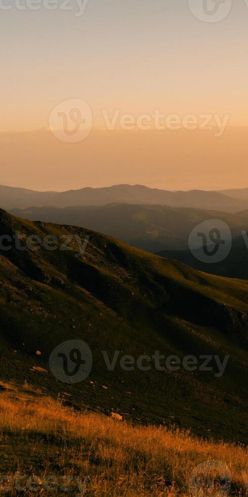 The grass is green photo