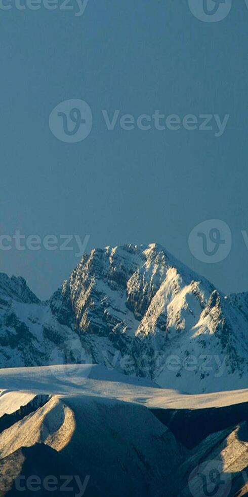 A snow covered mountain range with a lone snow covered tree photo