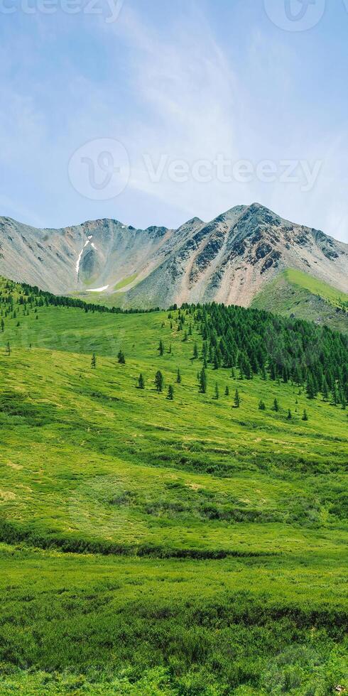 A mountain with a green field in front of it photo