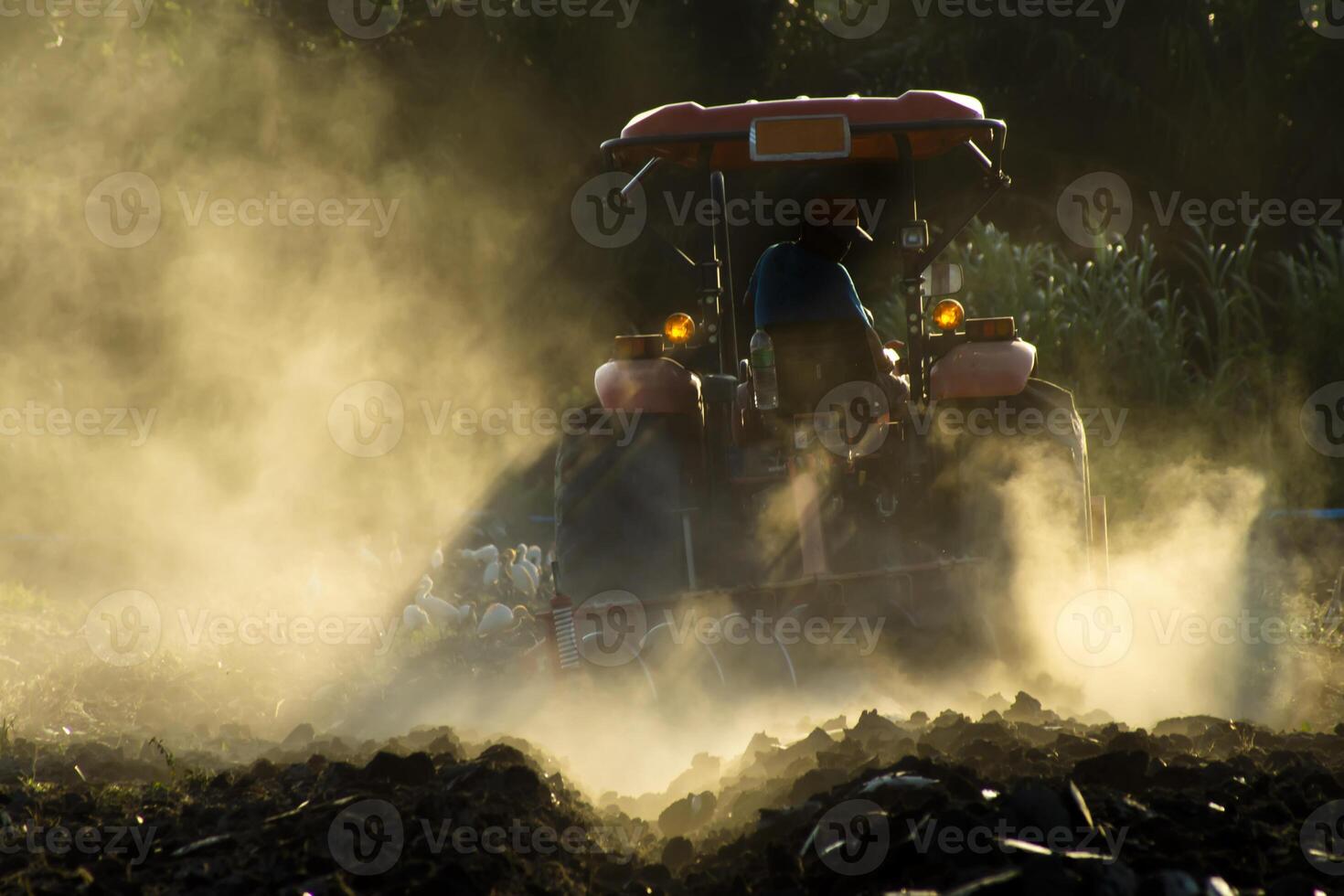 A farmer on a tractor with a seeder sows grain photo