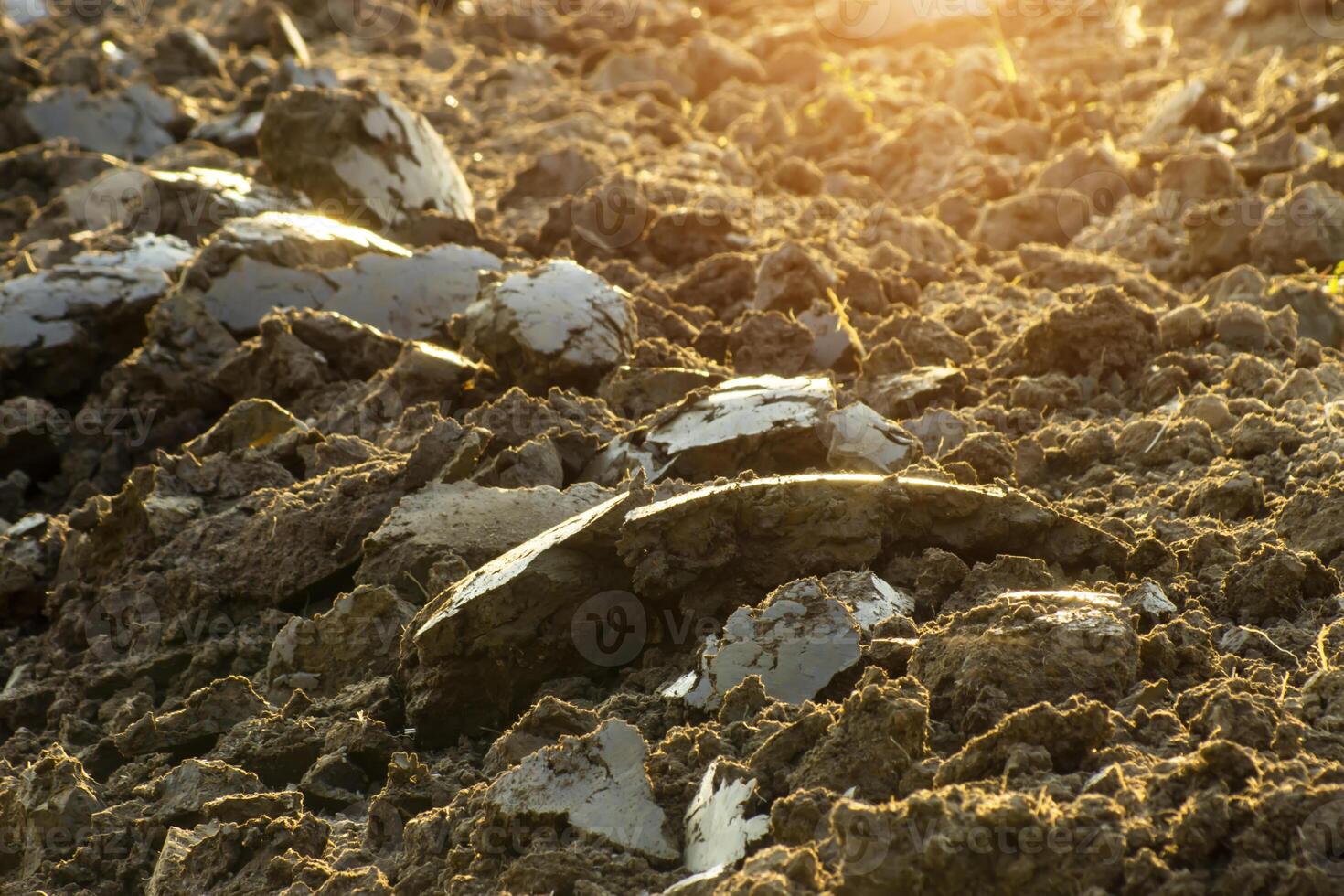 Preparation of soil in the spring. Brown soil plowed photo