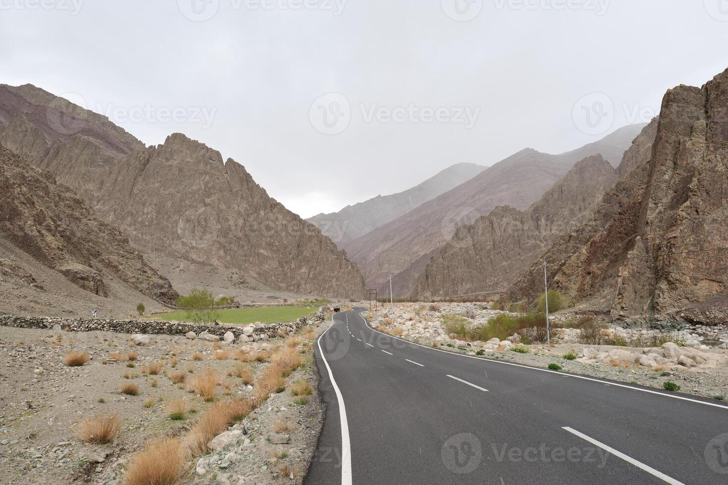 Himalayas the adventure destination for Travelers photo