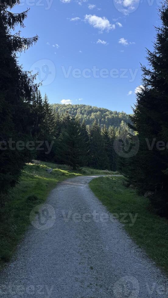 Mountain country rocky road in the mountainous Polish valley. Bielice photo