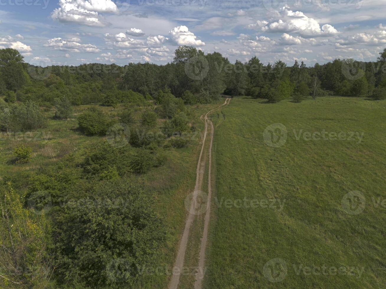 Country road going through a meadow with green grass and trees. View from above. Poland photo