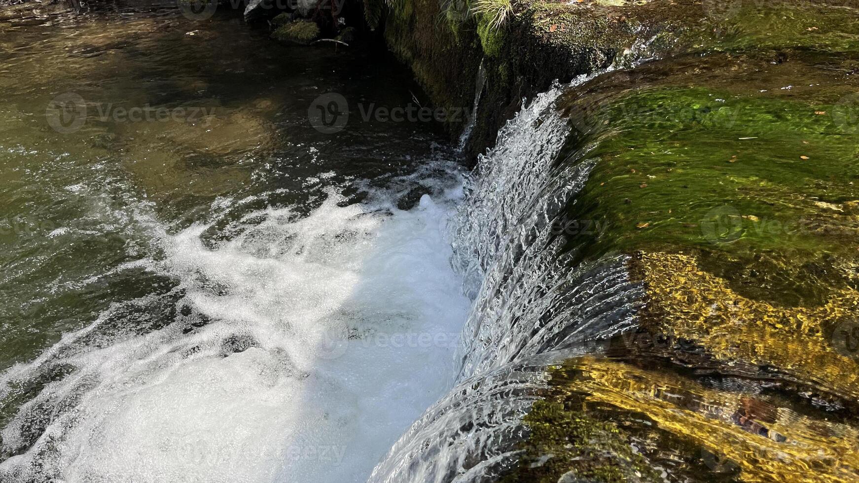 A small mountain river with a flow of water in the Polish mountains. Eastern Sudetes photo