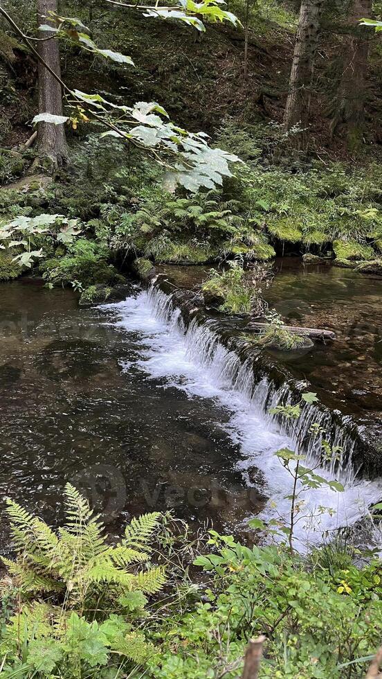 A small mountain river with a flow of water in the Polish mountains. Eastern Sudetes photo