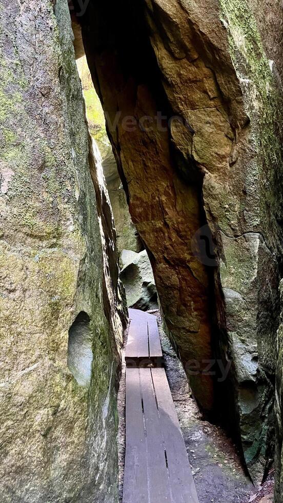 Hiking trail with wooden boardwalk and steps in Poland's Stolowe Mountains. Szczeliniec Wielki. photo