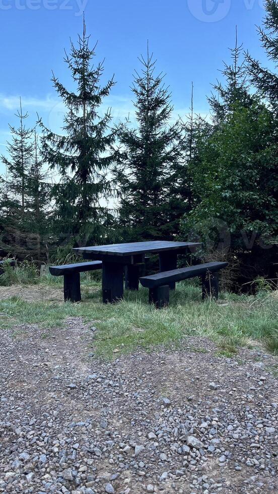 Wooden table with benches, a place for tourists to rest while hiking in the mountains photo