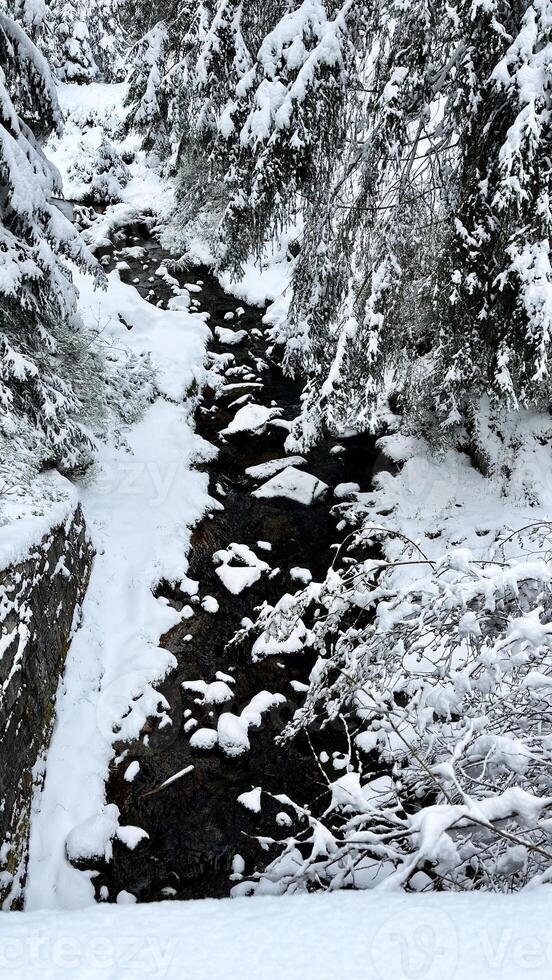Jiezerskie Mountains in Poland. Low mountains covered with snow and forest. Landscape photo