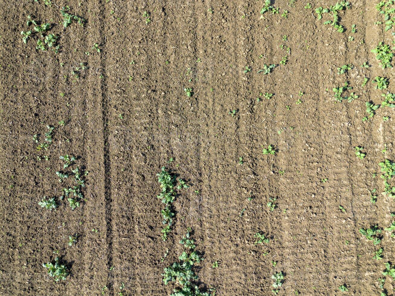 Plowed agricultural field, view from above, background. photo