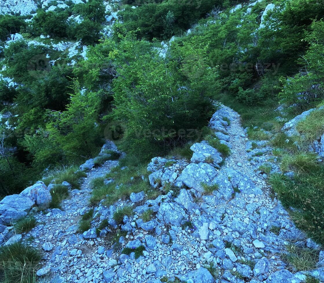 Hiking trail made of stones in the Biokovo mountains, Croatia photo