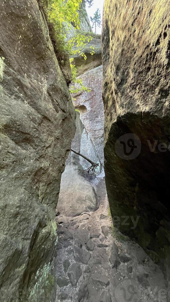 Canyon in Szczeliniec Wielki, Stolowe Mountains in Poland. photo