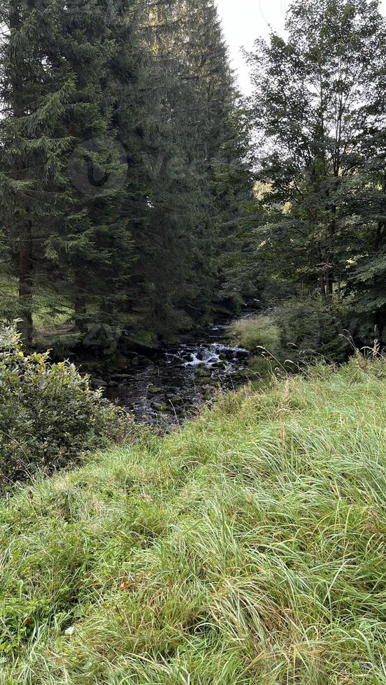 A small mountain river with a flow of water in the Polish mountains. Eastern Sudetes photo