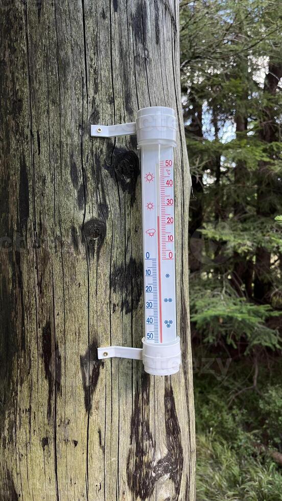 A thermometer is installed on a tree trunk in the mountains showing the air temperature. photo