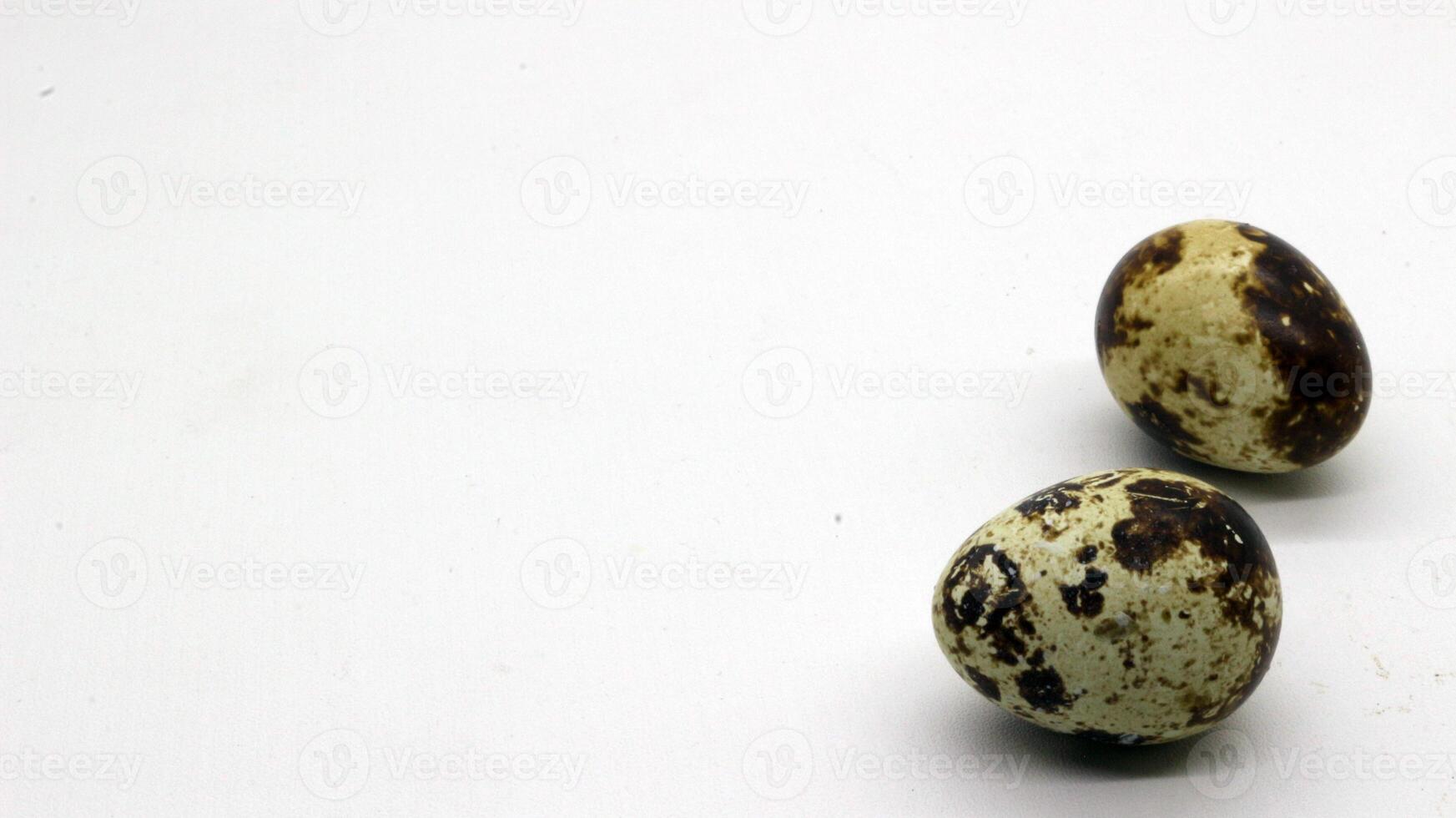 Quail eggs with nice patterns photo