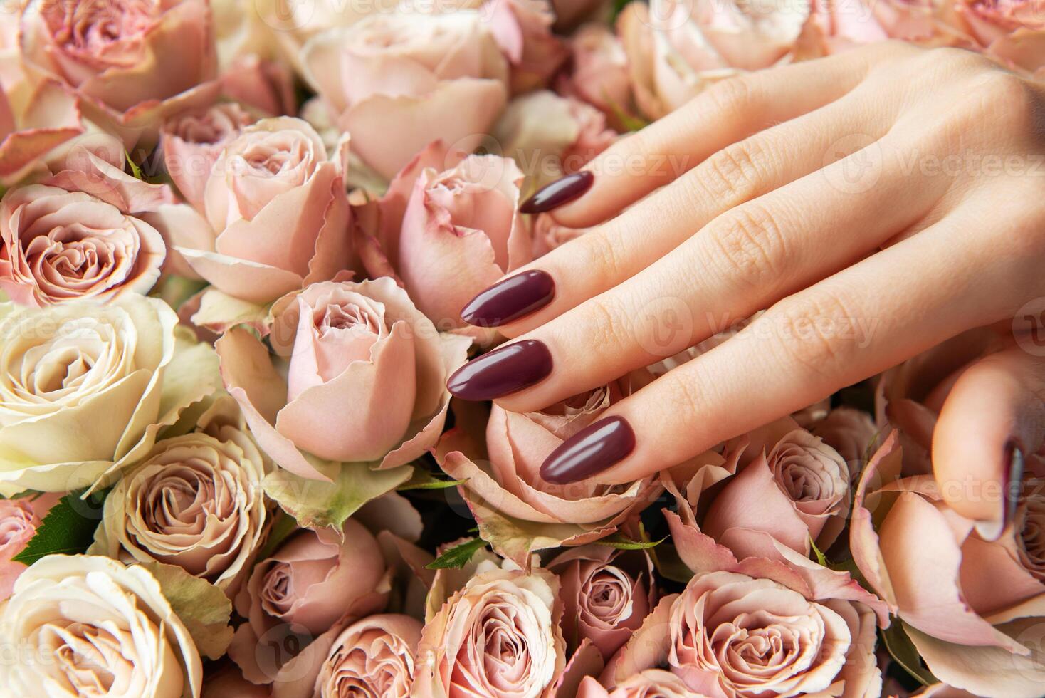 Elegant hand with dark maroon nails resting on a bed of soft pink and cream roses in a floral arrangement photo