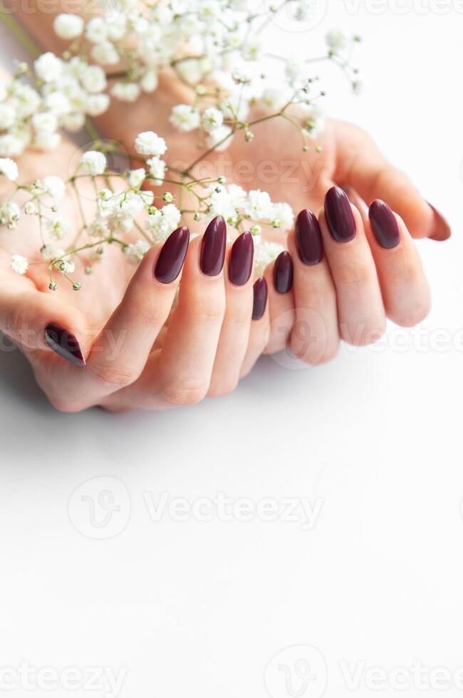 Elegant hands with dark nail polish holding delicate flowers on a soft white surface in bright natural light photo