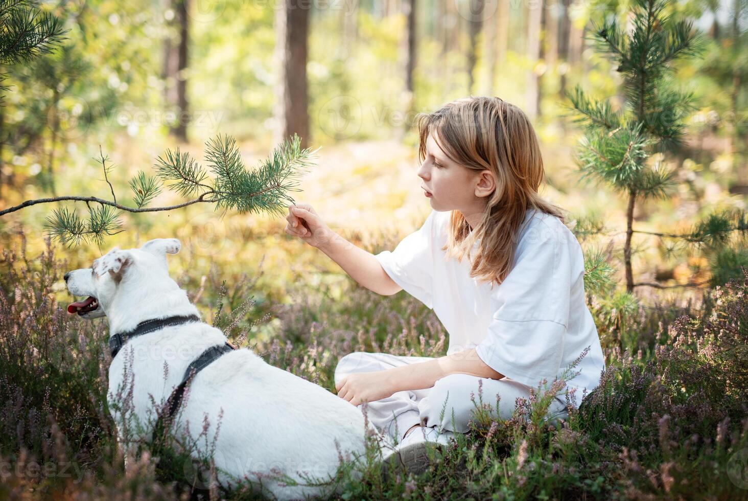A child relaxing with a dog in a serene forest, surrounded by greenery and blooming flowers on a sunny day photo