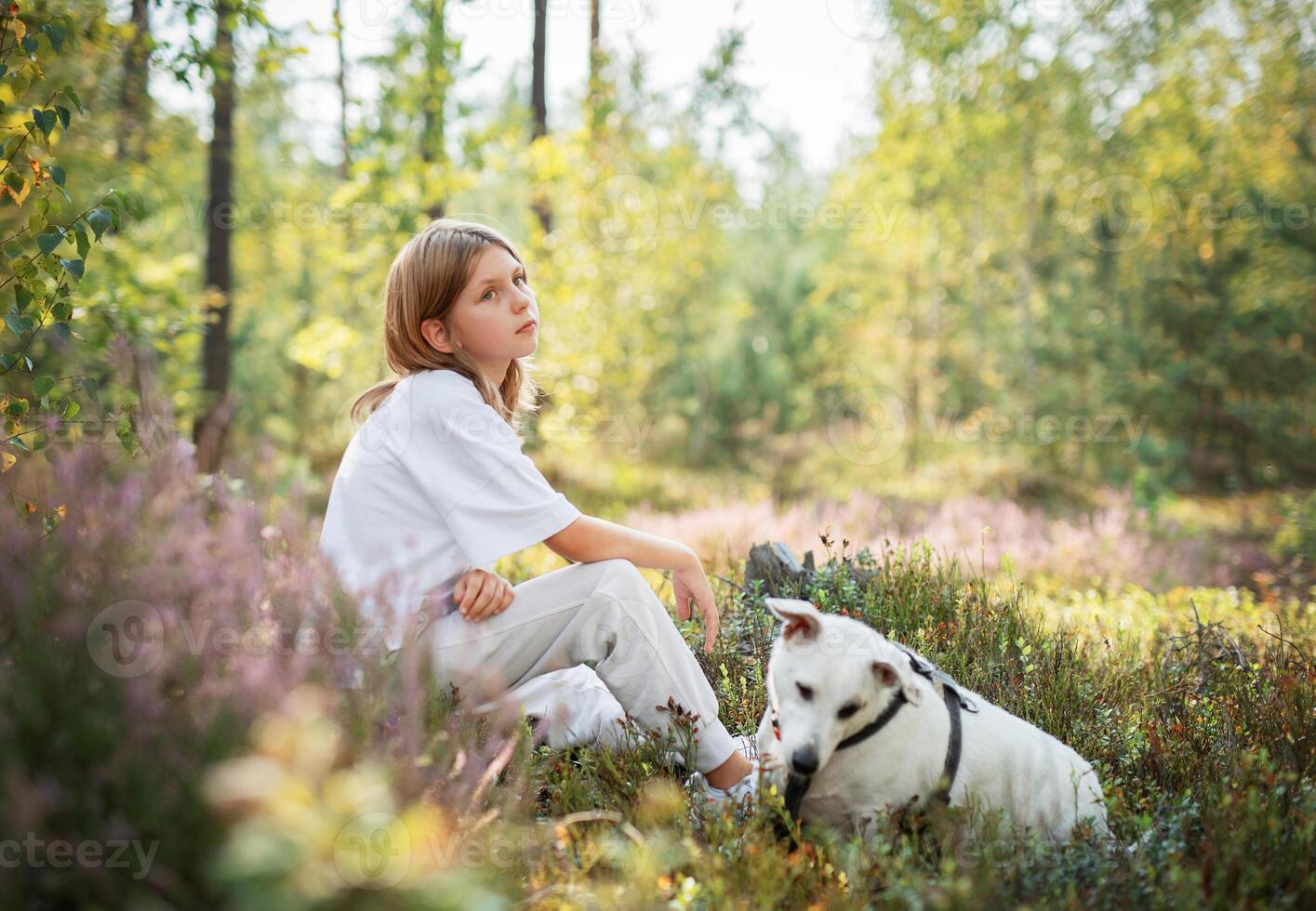 A child reflecting peacefully alongside a white dog in a serene forest setting on a sunny day photo