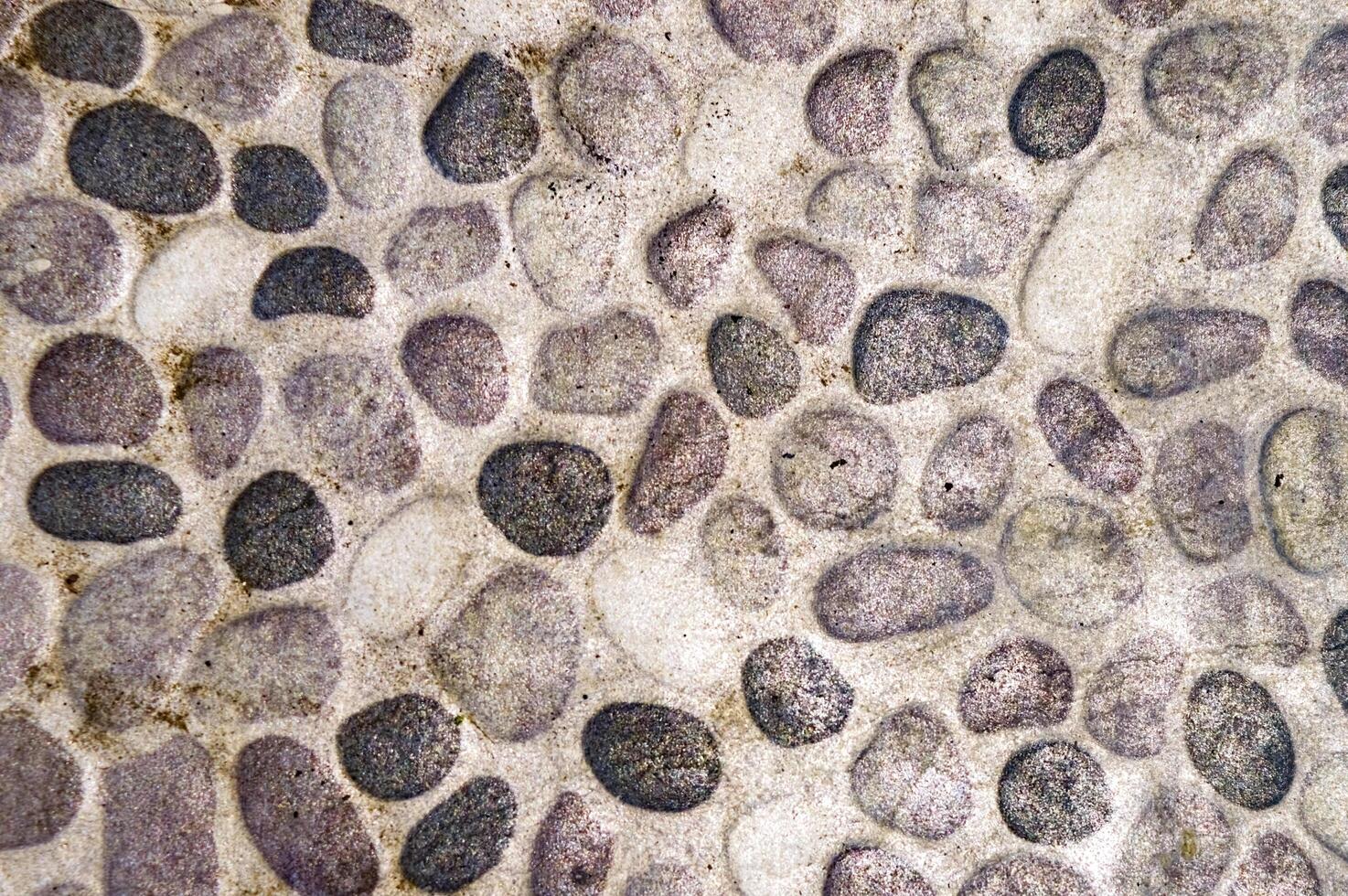 Close up of varied pebble stones embedded in concrete, creating a textured natural walkway surface photo