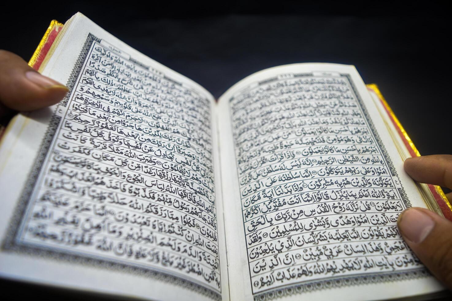 Open Quran book with golden edges held by hand, Arabic script visible, symbolizing Islamic faith and spirituality. Arabic word translation The Holy Al Quran holy book of Muslim photo