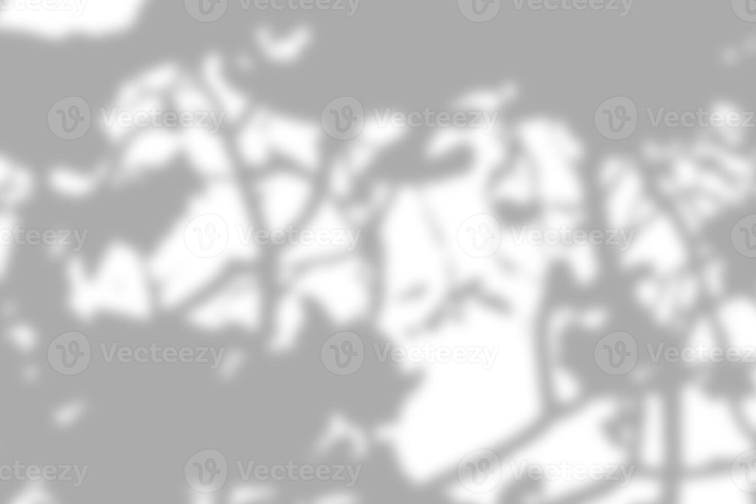 Gray leaf shadow and light blur abstract background on white wall, shadow overlay effect photo