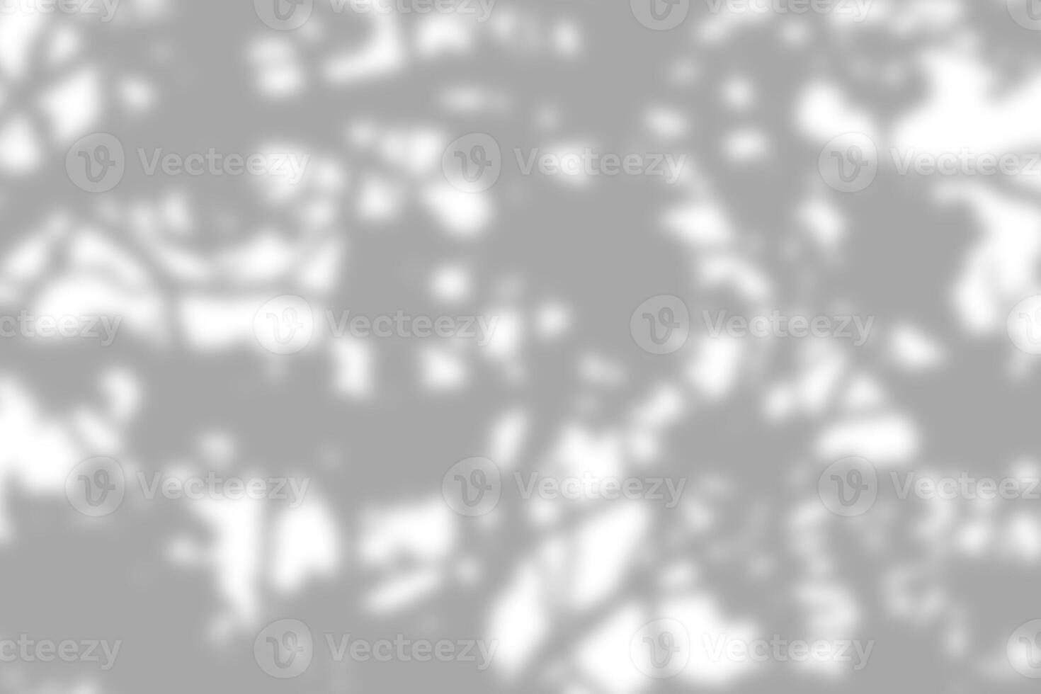 Gray leaf shadow and light blur abstract background on white wall, shadow overlay effect photo