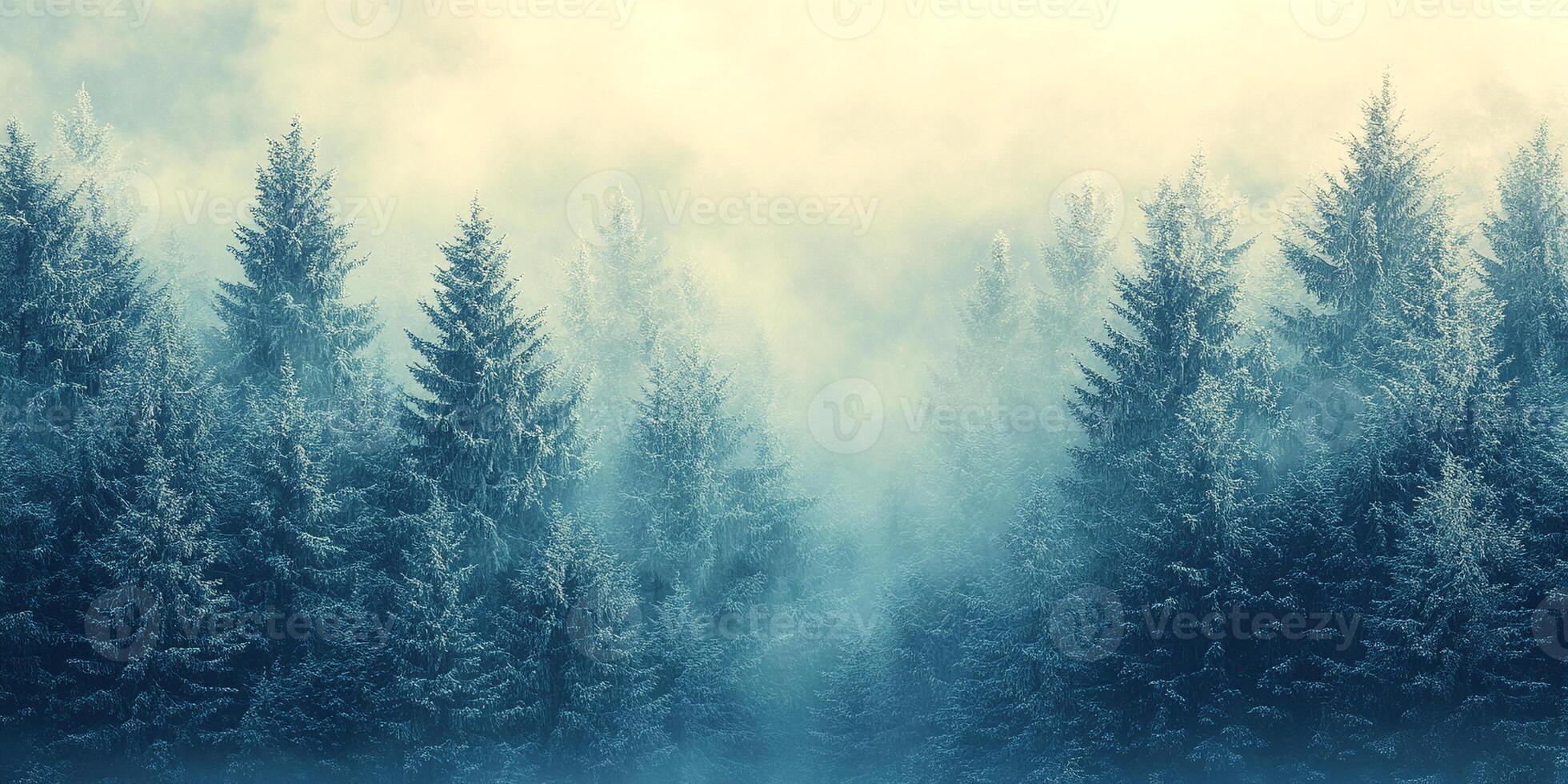 Winter-themed background with soft, snowy textures and a blank copy space for text photo