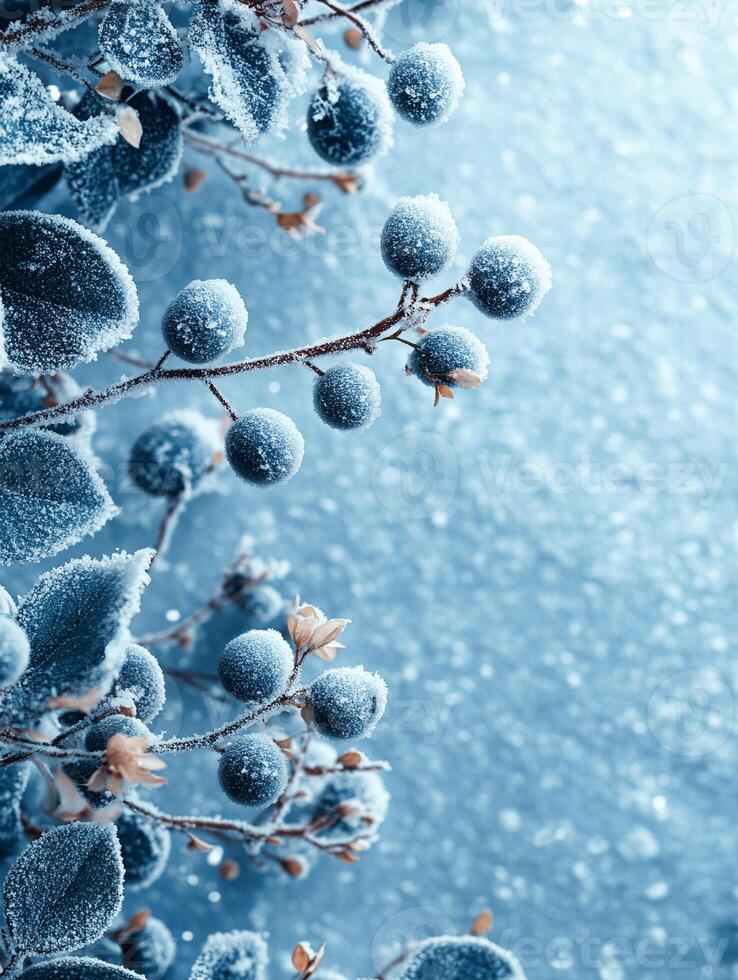 Winter-themed background with soft, snowy textures and a blank copy space for text photo