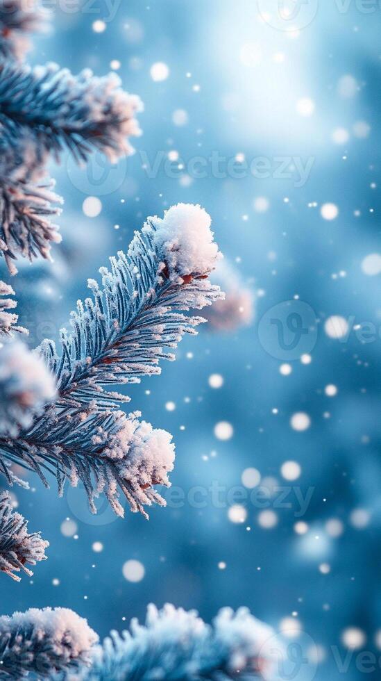 Winter-themed background with soft, snowy textures and a blank copy space for text photo