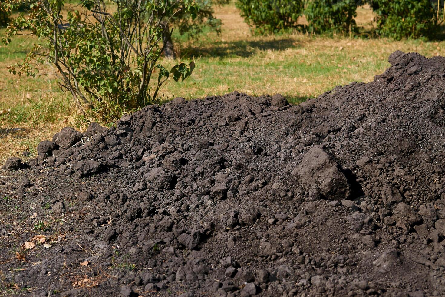 Landscaping. A pile of fertile soil for adding to lawns photo