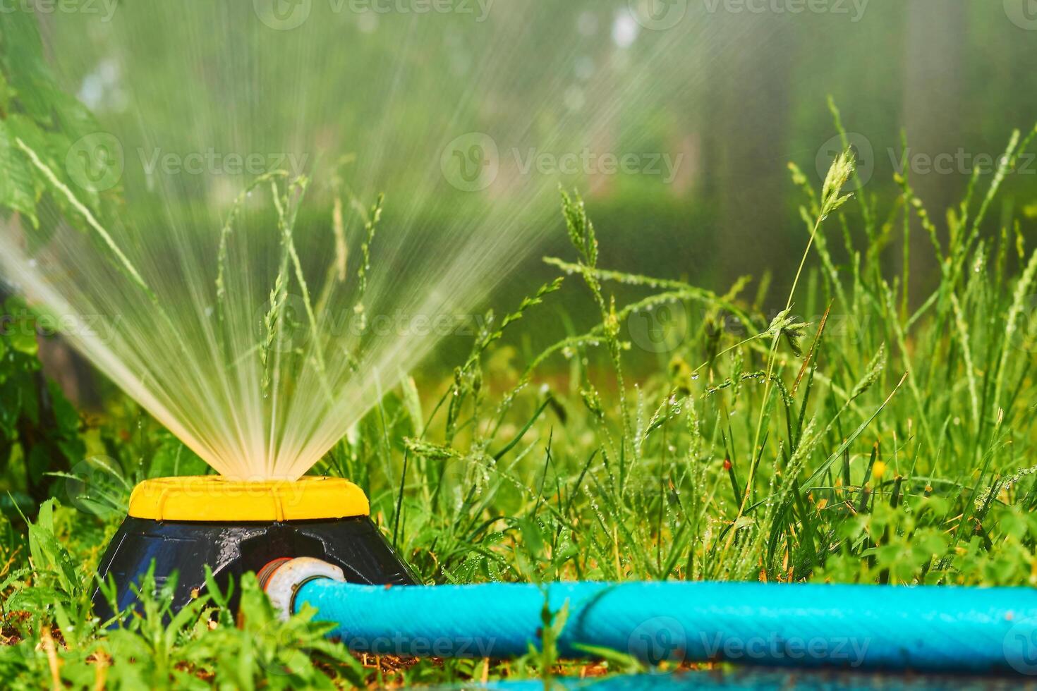 Gardening,landscaping. Sprinkler watering flowers, hot day, Irrigation system photo